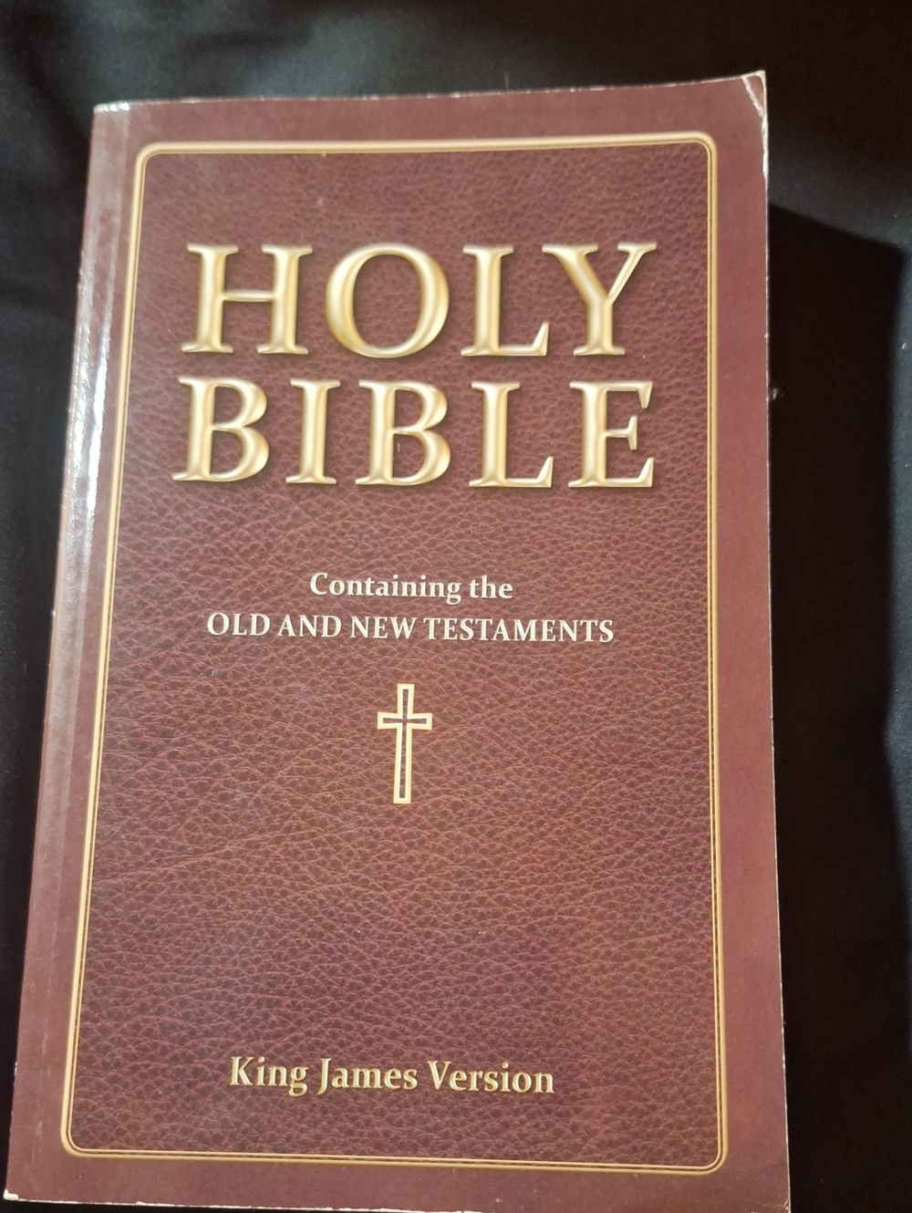 King James Version Holy Bible - Brown